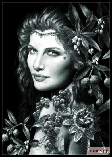 №323642 - оригинал