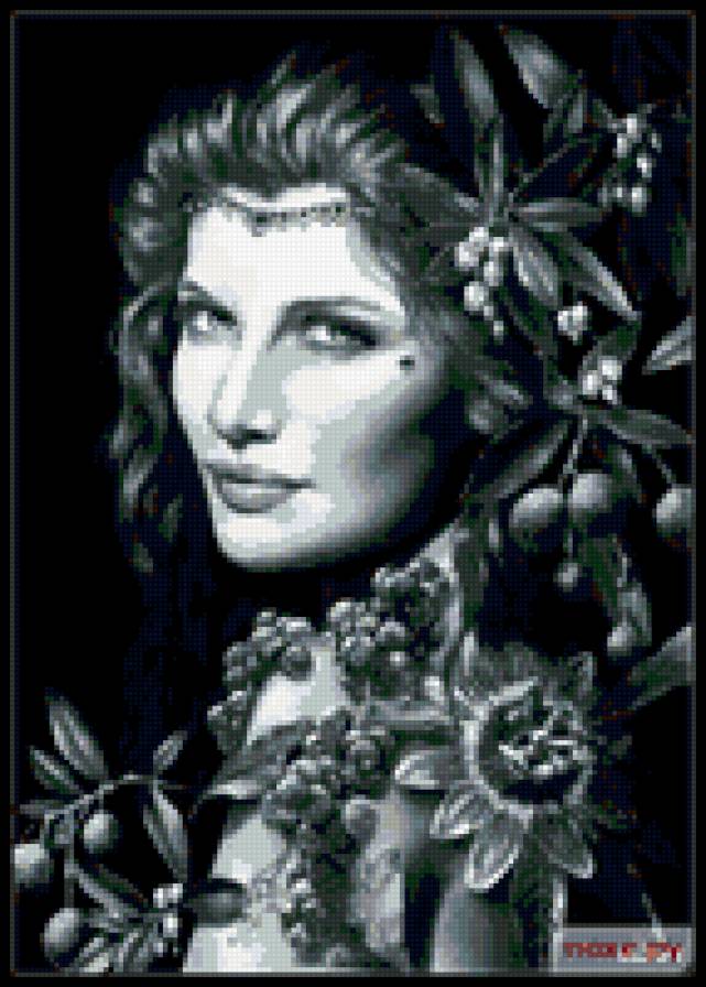 №323642 - предпросмотр