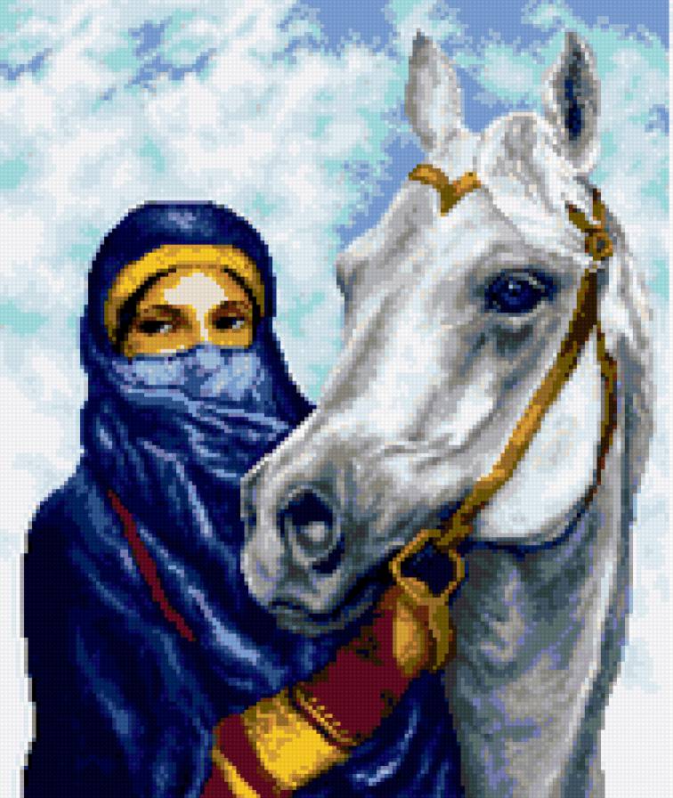 арабка - мусульманка, портрет, лошадь, араб, девушка, небо - предпросмотр