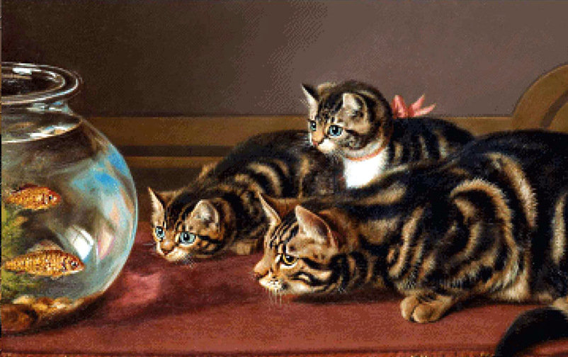 Кошки - кошки - оригинал