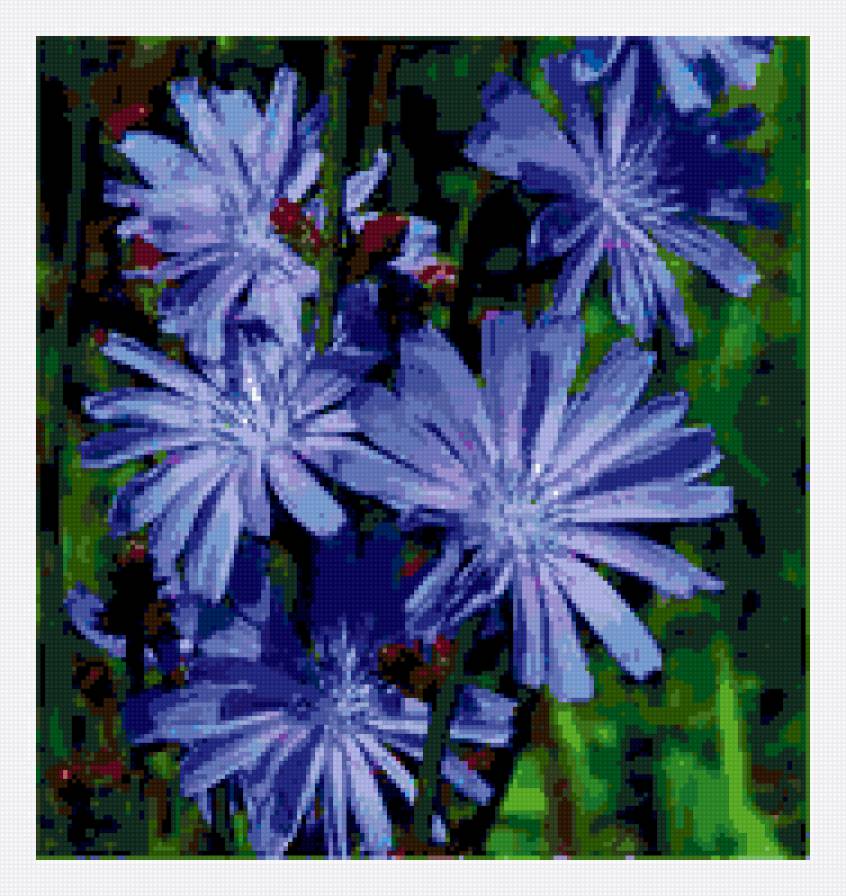 полевые цветы - картина цветы пастушья сумка - предпросмотр