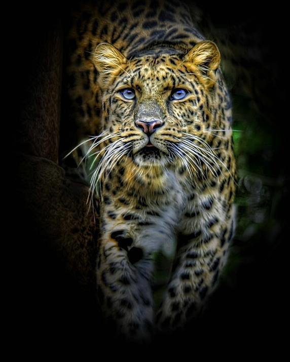 №324189 - оригинал