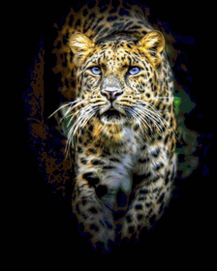 №324189 - предпросмотр