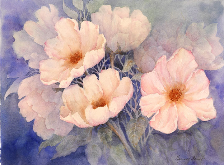 000800 - оригинал