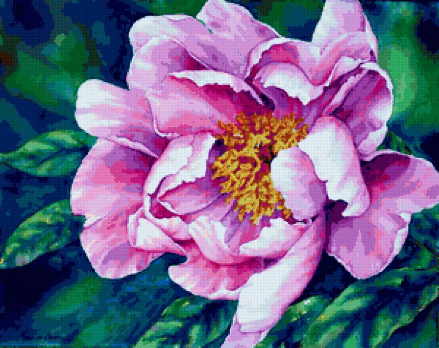 000200 - предпросмотр