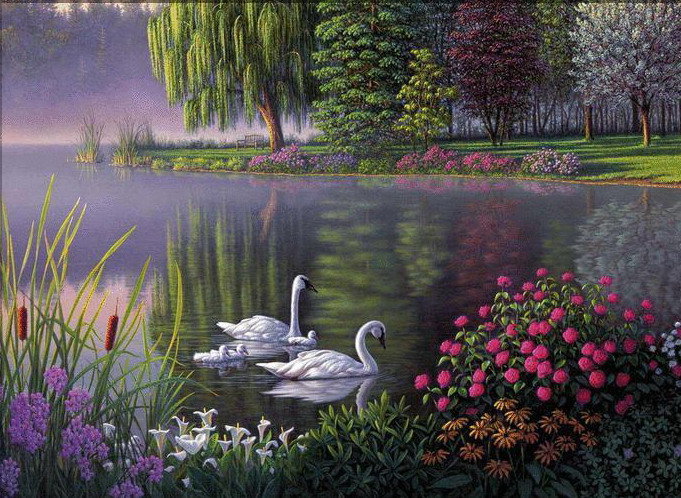 птицы - оригинал