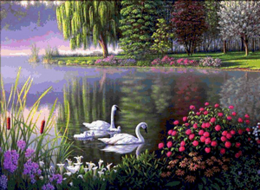 птицы - предпросмотр