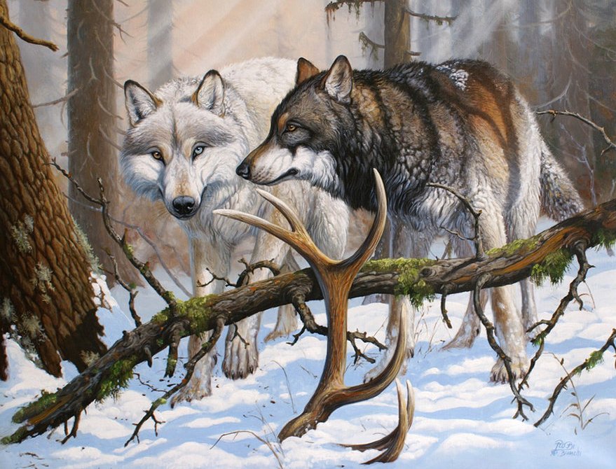 волки - зима, животные, природа, лес, волк - оригинал
