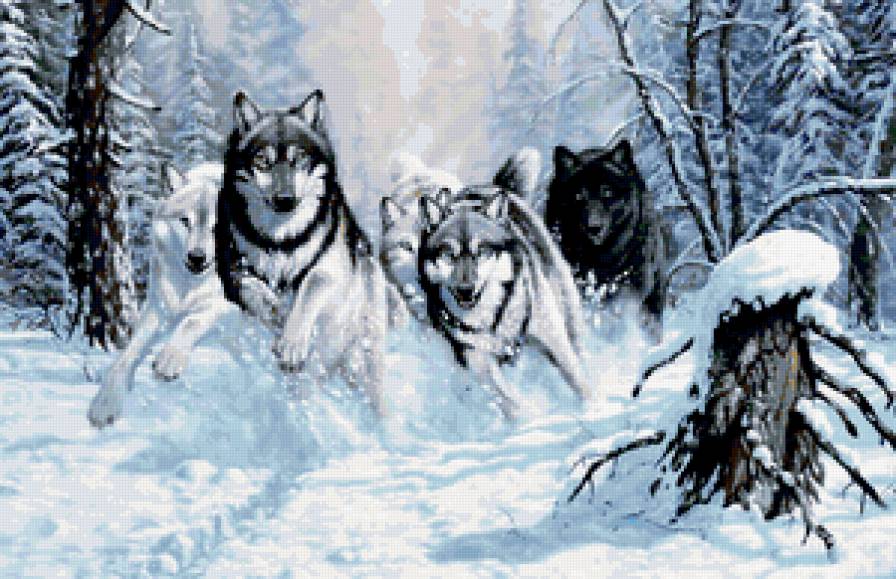 волки - волк, животные, зима, природа - предпросмотр