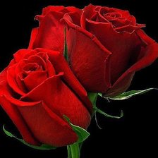 Схема вышивки «№324582»