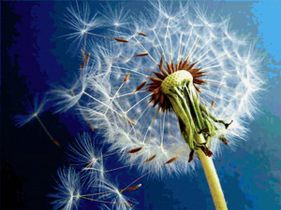 №324584 - предпросмотр