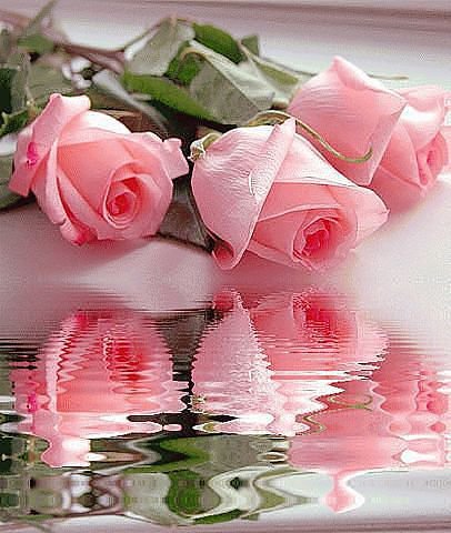 №324589 - оригинал