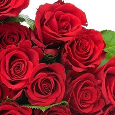 Схема вышивки «№324593»