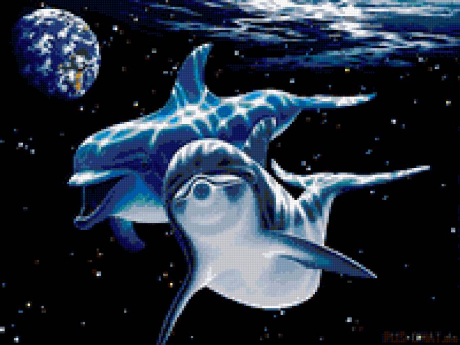 Дельфины - предпросмотр