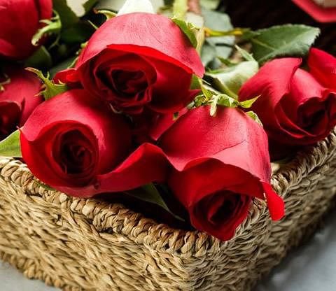 №324603 - оригинал