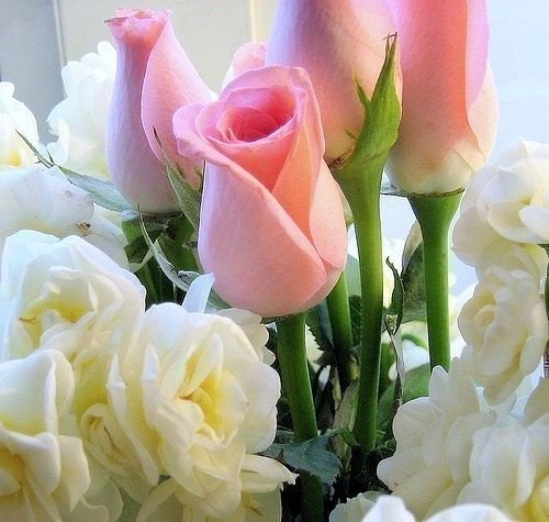 №324607 - оригинал