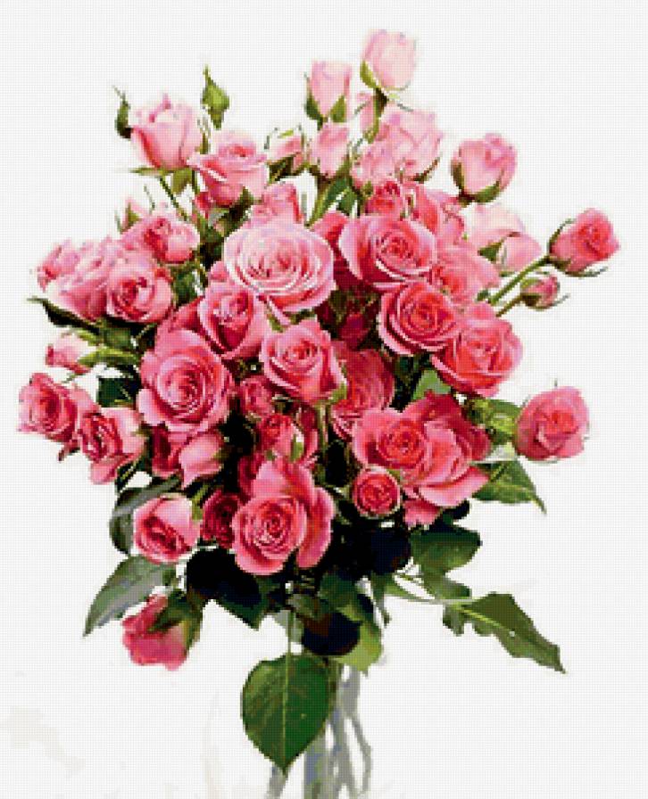 №324608 - предпросмотр