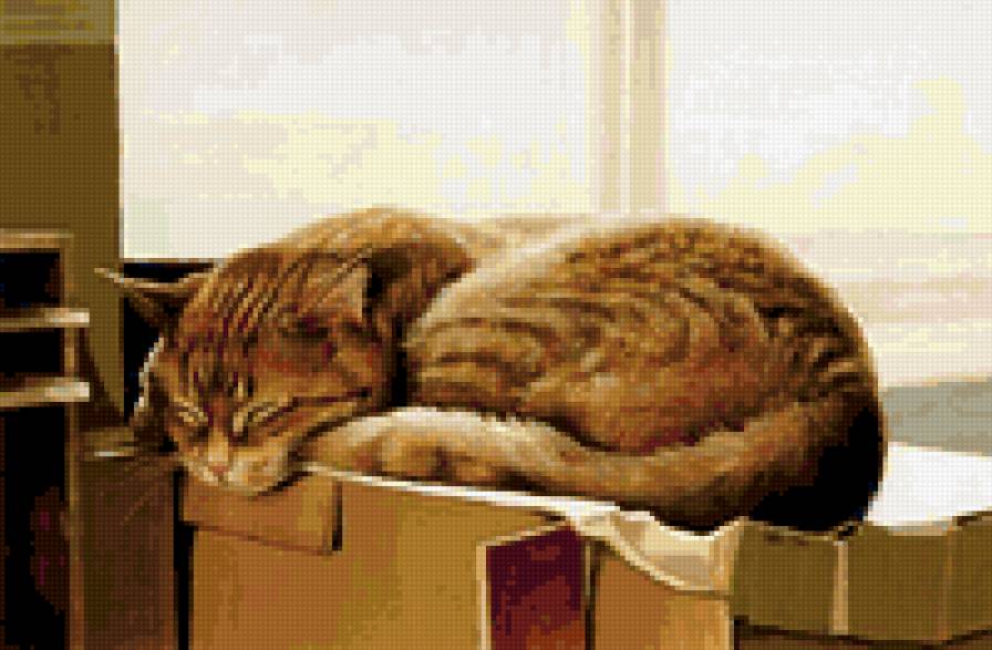 №324619 - предпросмотр