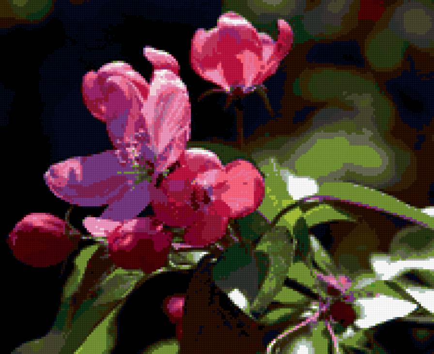 №324646 - цветы - предпросмотр