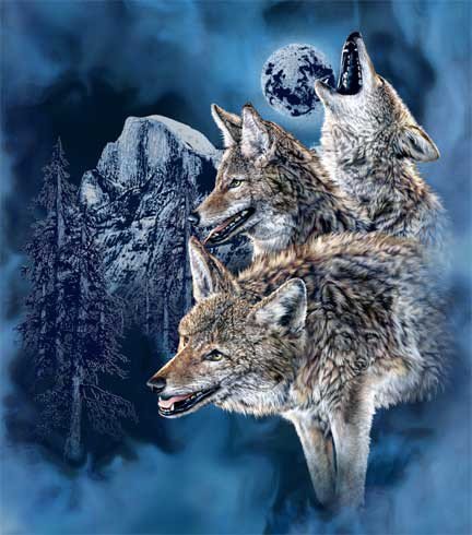 волки - животные - оригинал