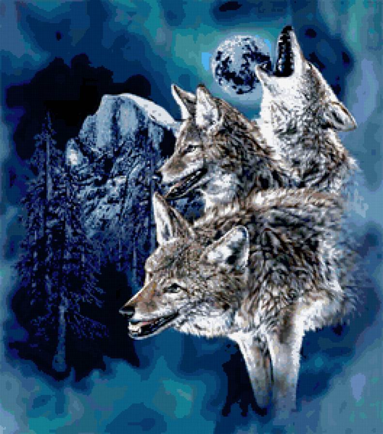 волки - животные - предпросмотр