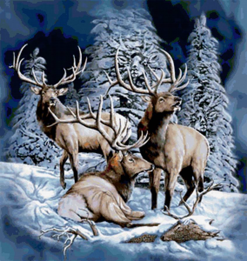 олени - животные - предпросмотр