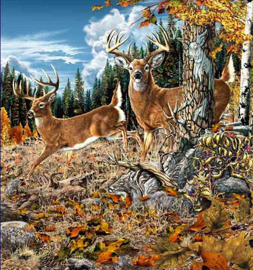 олени - животные - оригинал