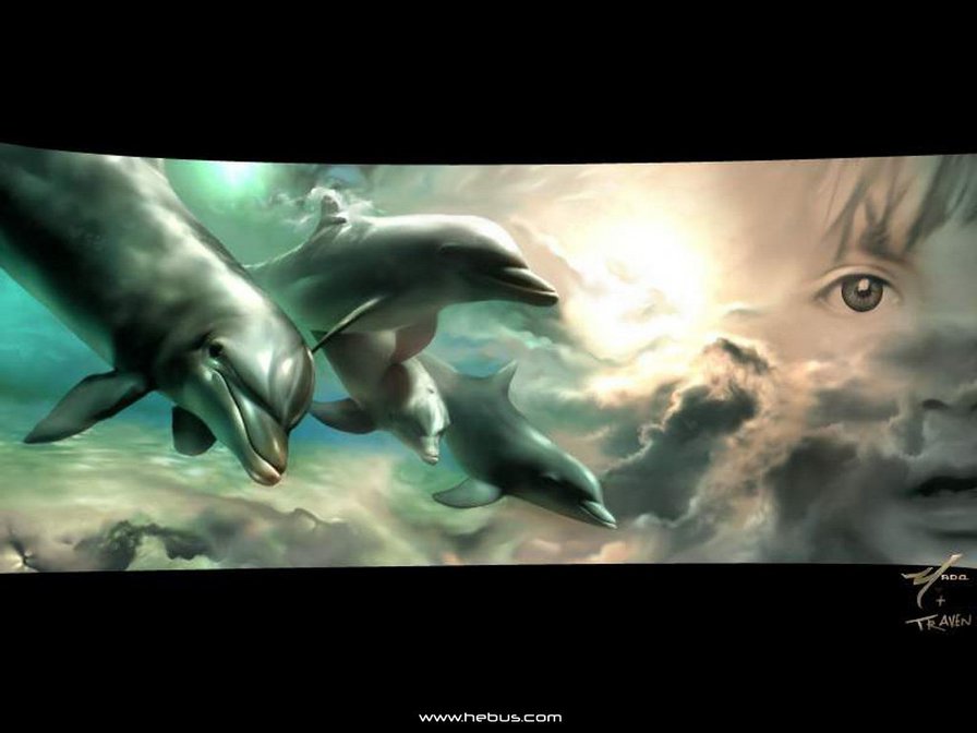 №324808 - дельфины, море, ребенок - оригинал