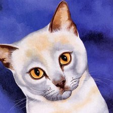 Схема вышивки «кот»