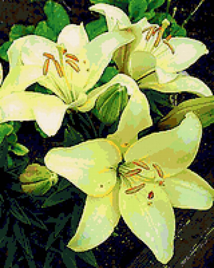 лилия - лилии, цветы - предпросмотр