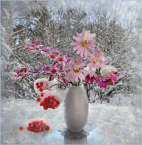 весна среди зимы - зима, цветы, букет, натюрморт, пейзаж - оригинал