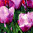 Предпросмотр схемы вышивки «тюльпаны» (№324903)
