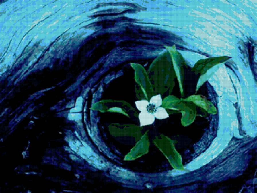 №325076 - цветок, природа - предпросмотр