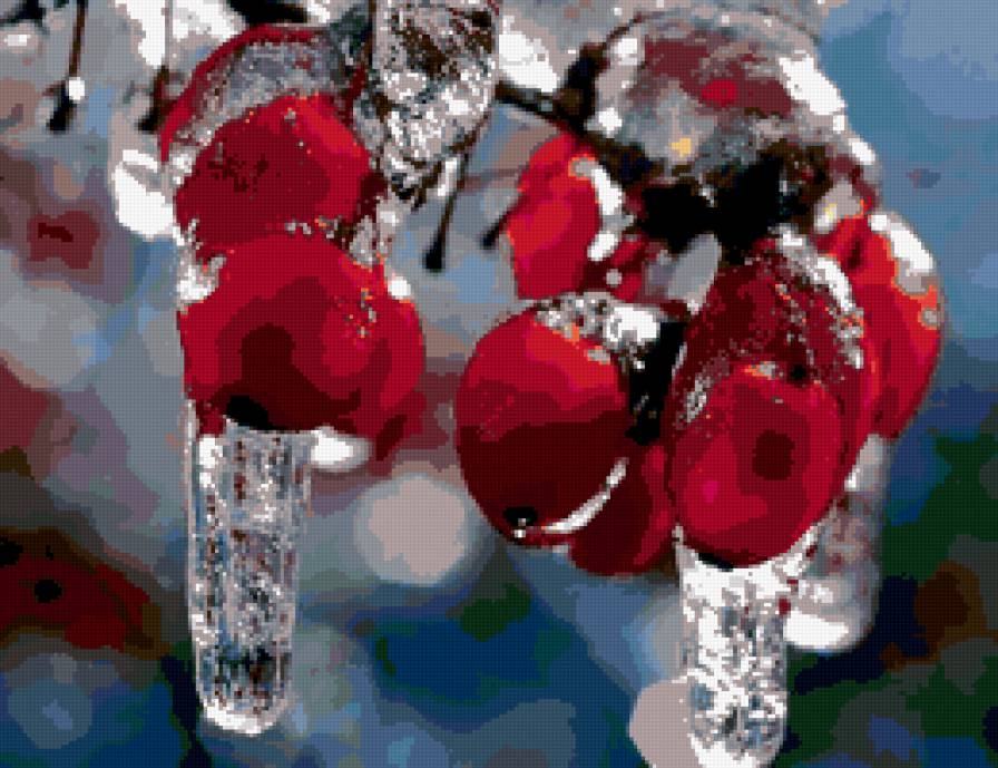 Рябина - деревья, природа - предпросмотр