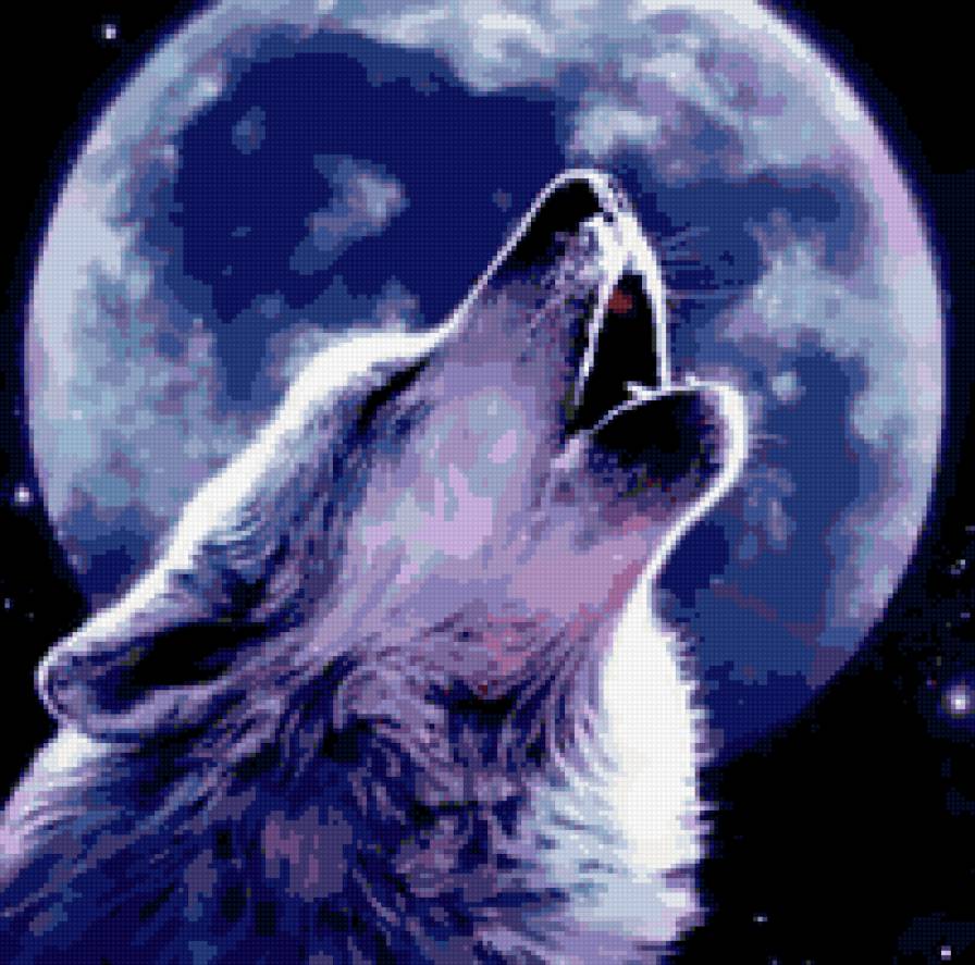 волк - предпросмотр