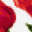 Предпросмотр схемы вышивки «красные тюльпаны» (№325507)