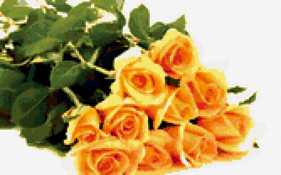 желтые розы - предпросмотр