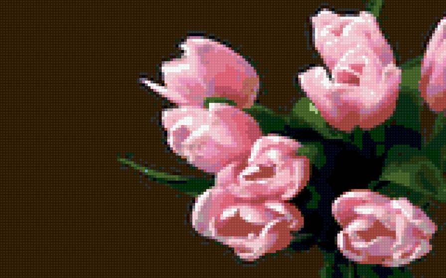 розовые тюльпаны - предпросмотр