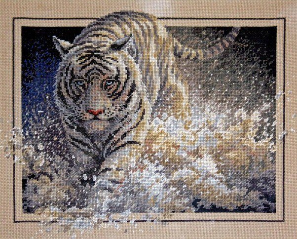 тигр - звери - оригинал