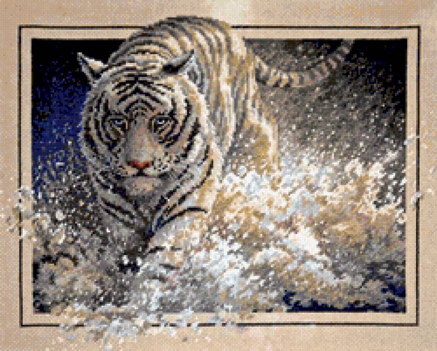 тигр - звери - предпросмотр