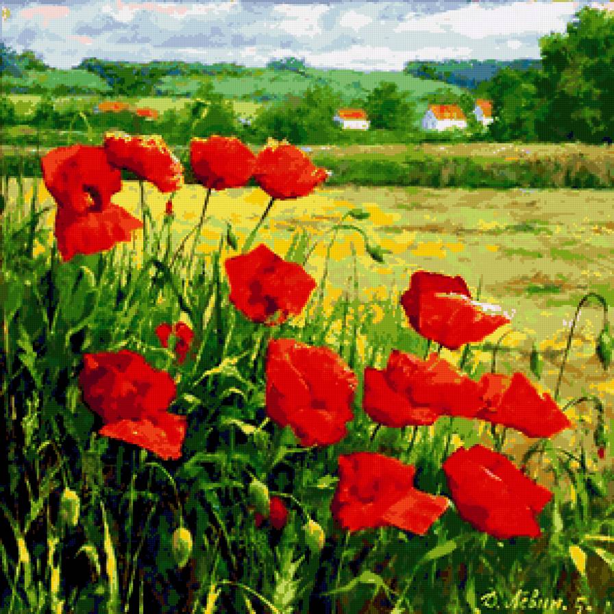 Маковое поле - природа.маки.цветы.пейзаж.поле - предпросмотр