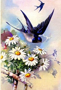 №325798 - оригинал