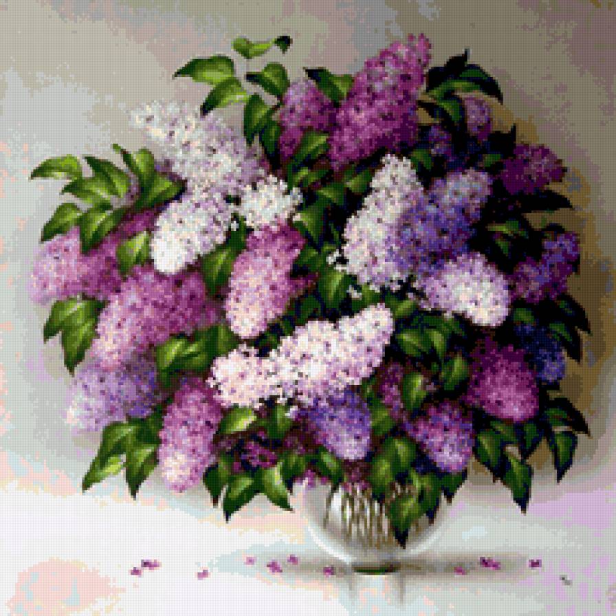 Сирень - флора.сирень.натюрморт, природа, цветы, букет - предпросмотр