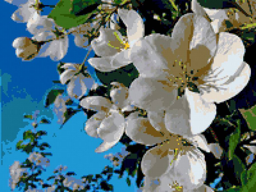 яблони цвет - картина цветы - предпросмотр