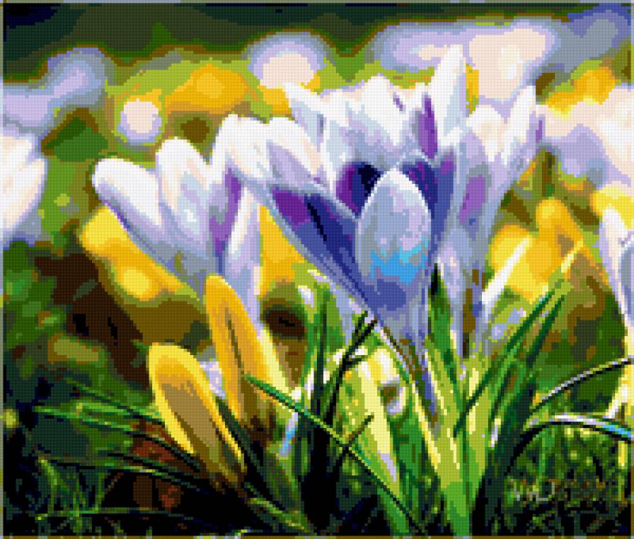 крокусы - картина цветы крокусы - предпросмотр