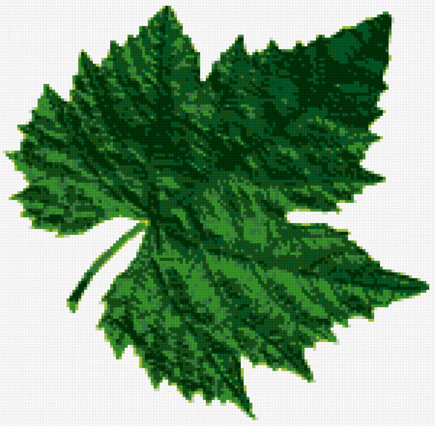 виноградный лист - лист, винолист, вино - предпросмотр