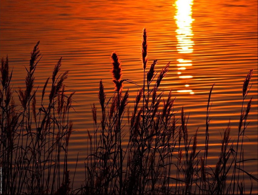 №326111 - оригинал