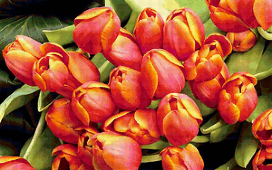 №326207 - предпросмотр