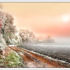 Розовое утро