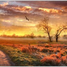 Как красивы бывают закаты.